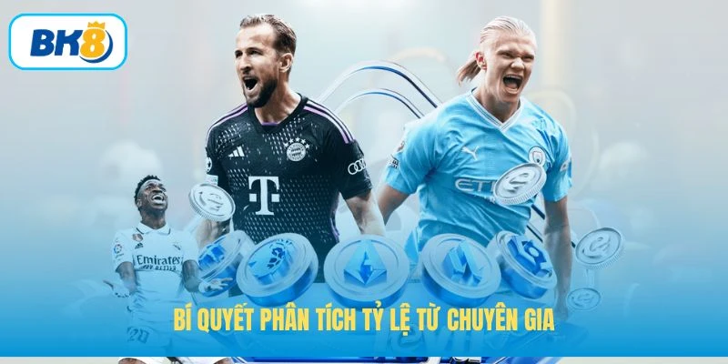 Bí quyết phân tích tỷ lệ từ chuyên gia