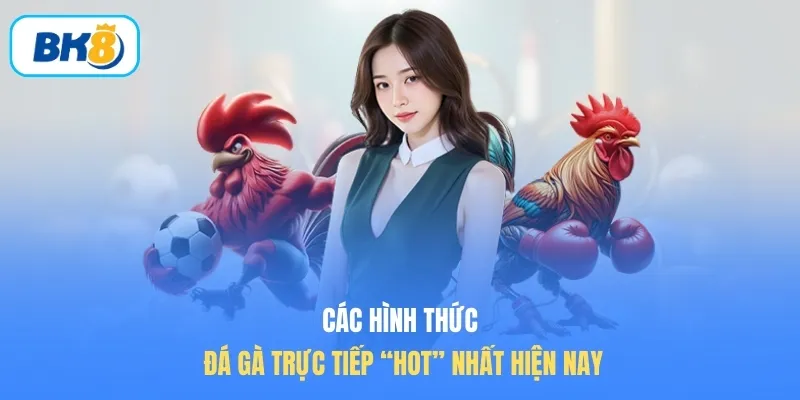 Các hình thức đá gà trực tiếp “hot” nhất hiện nay