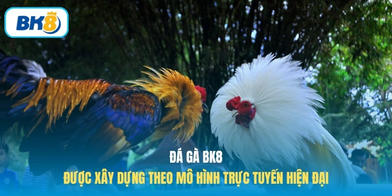 Đá gà BK8 được xây dựng theo mô hình trực tuyến hiện đại