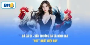 đá gà C1