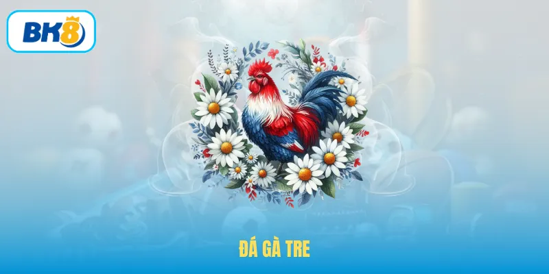 Đá Gà Tre – Luật Chơi Chọi Gà Vô Cùng Nóng Bỏng Tại BK8