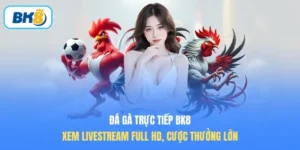 đá gà trực tiếp BK8