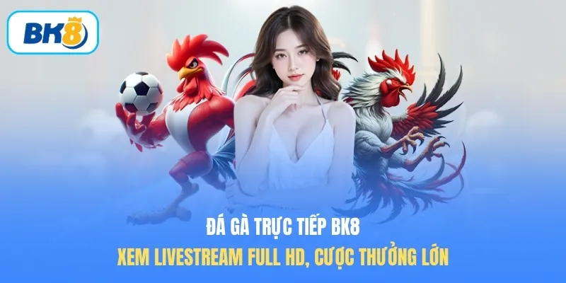 đá gà trực tiếp BK8