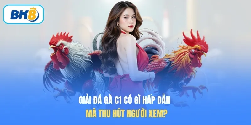 Giải đá gà C1 có gì hấp dẫn mà thu hút người xem?