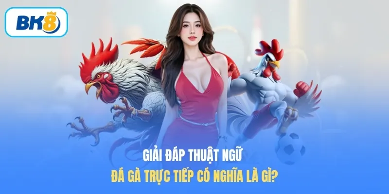 Giải đáp thuật ngữ đá gà trực tiếp có nghĩa là gì?