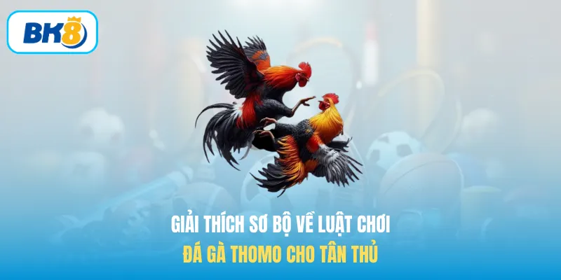 Giải thích sơ bộ về luật chơi Đá gà Thomo cho tân thủ