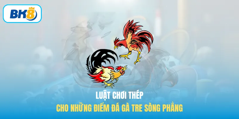 Luật chơi thép cho những điểm Đá gà tre sòng phẳng
