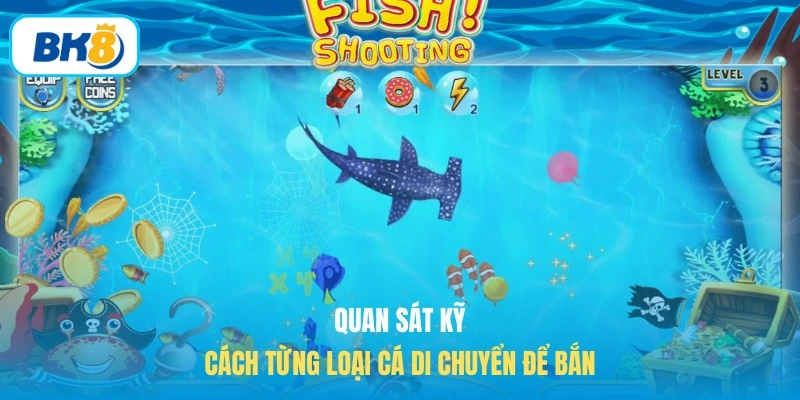 Quan sát kỹ cách từng loại cá di chuyển để bắn