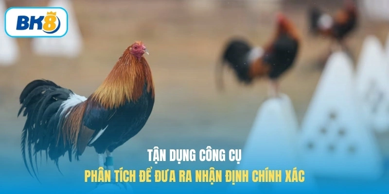 Tận dụng công cụ phân tích để đưa ra nhận định chính xác