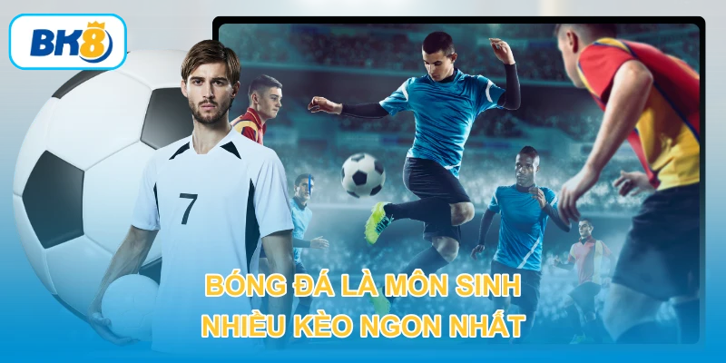 Bóng đá là môn sinh nhiều kèo ngon nhất