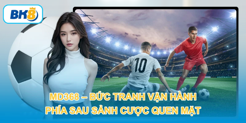 CMD368 – Bức Tranh Vận Hành Phía Sau Sảnh Cược Quen Mặt